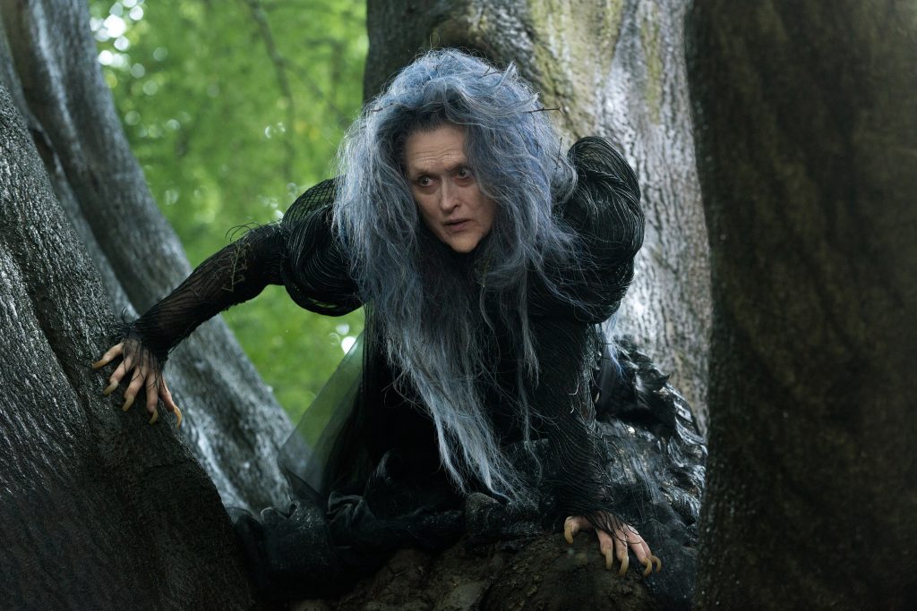 Into the Woods (Rob Marshall), 2014 - Costume design by Colleen Atwood